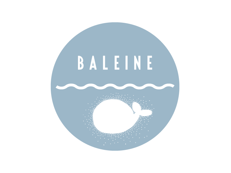 front_baleine.png